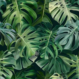 Jungle 371
